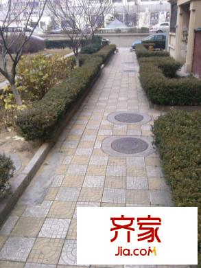 曙光公寓外景圖 