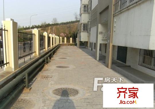 金港花園