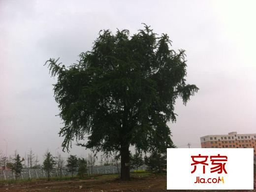港城華府小區(qū)（20130623）