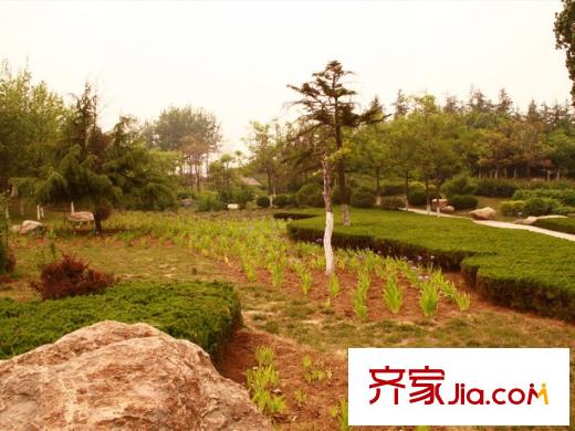 膠州寶龍城市廣場(chǎng)周邊配套之三里河公園