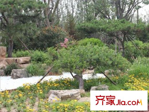 金色環(huán)海周邊配套之唐島灣南岸公園