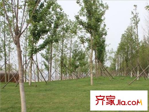 金色環(huán)海周邊配套之唐島灣南岸公園