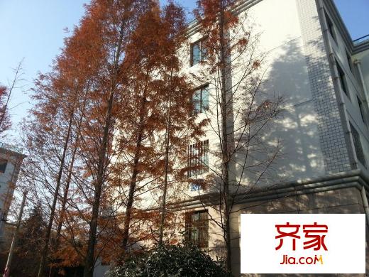 盈園廣場外景圖 