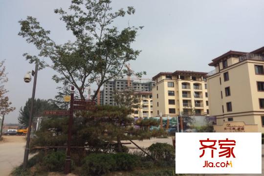 天一仁和?豪庭工程進(jìn)展（2015-10-28）