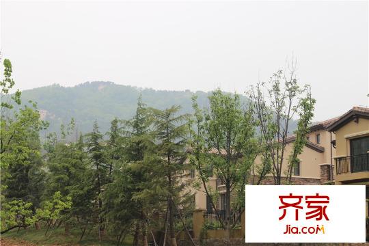 青島龍湖原山龍湖原山 