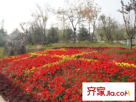 銀盛泰星河城向南500米隱珠公園實(shí)景（20121028）