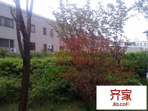 天福綠洲外景圖