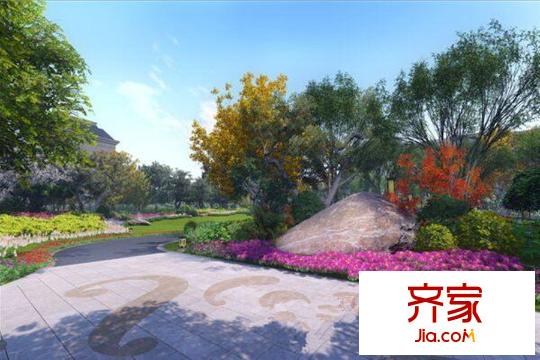 紅豆杉養(yǎng)生谷（2015-11-20）