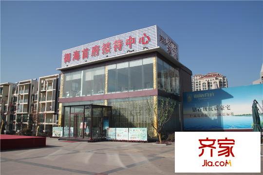 御海首府二期工程進(jìn)展圖（20140126）