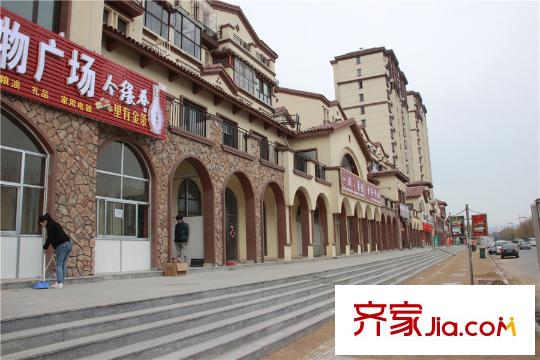 盧河水岸周邊配套之街邊商店