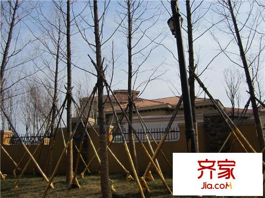 青建香根溫泉墅外景圖: