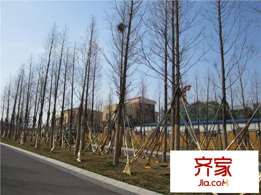 青建香根溫泉墅外景圖: