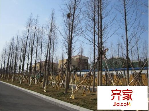 青建香根溫泉墅