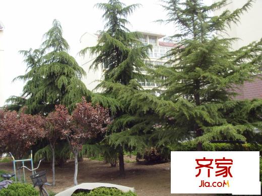 西元莊一期外景圖 
