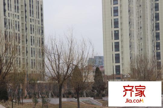 興悅?cè)A城（2015.03.20）