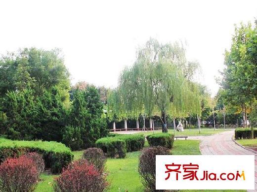 那魯灣海景星級(jí)服務(wù)公寓配套圖周邊配套之商業(yè)