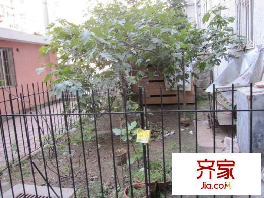 大連路小區(qū)