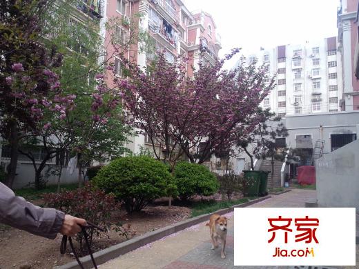 順興路小區(qū)外景圖
