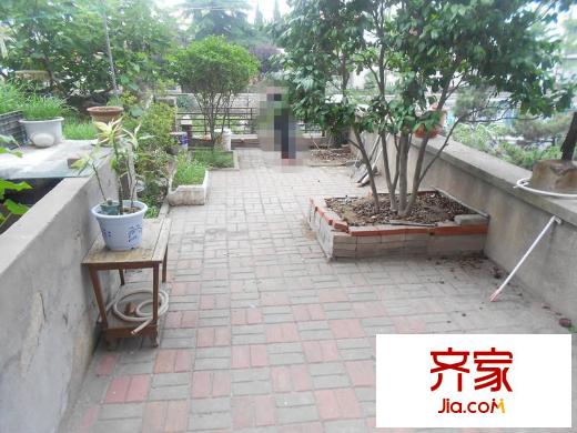 辛家莊一小區(qū)外景圖