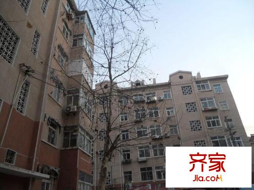 辛家莊一小區(qū)外景圖