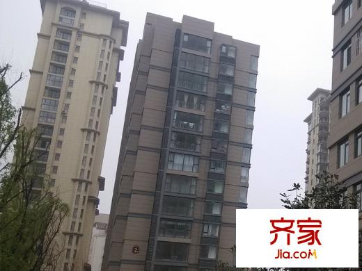 海棠里外景圖