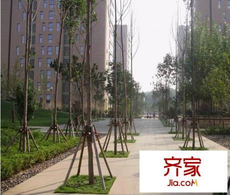 柏麗瀾庭外景圖