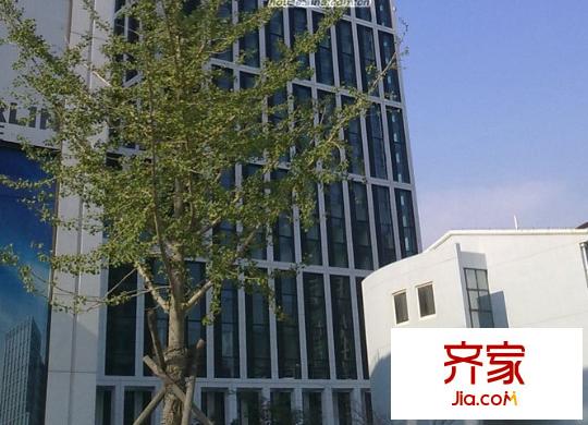 柏林賽樂外景圖