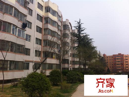 北江路小區(qū)外景圖