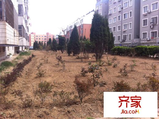 北江路小區(qū)