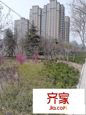 偉東幸福之城萊茵7080外景圖萊茵7080實景圖（2013-4-17）