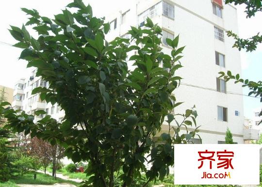 北苑小區(qū)外景圖