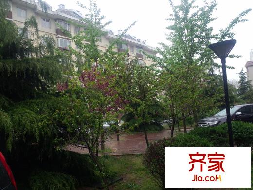 華陽家園外景圖