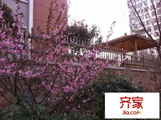 津盤鳳凰都