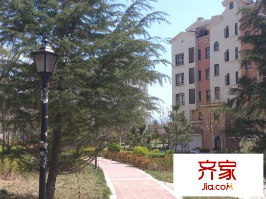 嶗山水岸楓景外景圖
