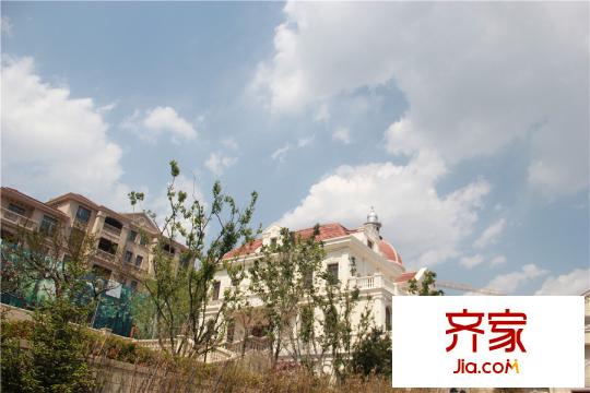 世襲領(lǐng)地悅廷（2015-10-08）
