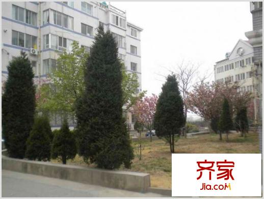 東方花園新村外景圖 