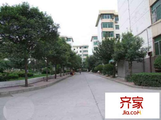 順河路小區(qū)外景圖 