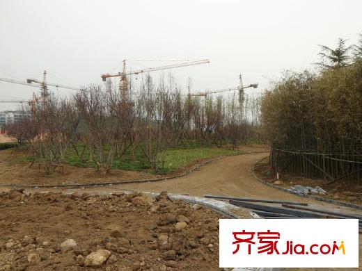 巴黎壹號(hào)配套圖周邊配套之市政公園