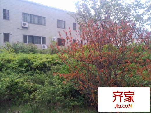 天福綠洲外景圖