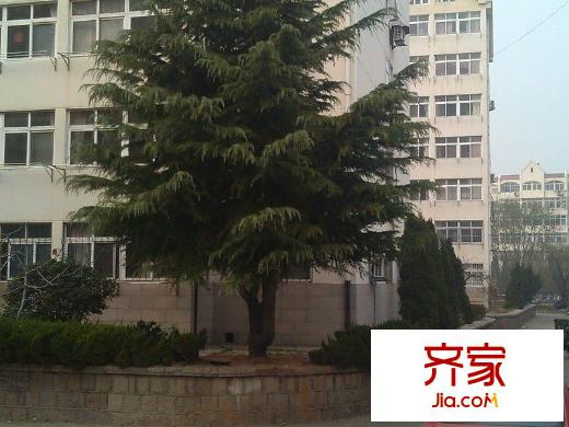 新亞花園外景圖 