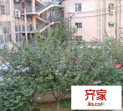 東方小區(qū)外景圖 