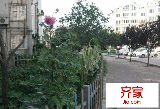 延吉路社區(qū)外景圖