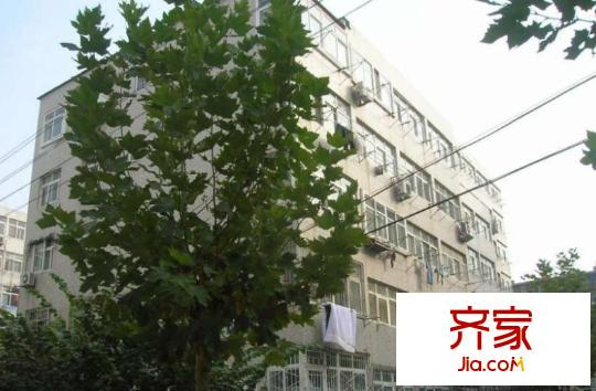 東仲小區(qū)外景圖