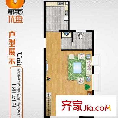 新海園優(yōu)盤戶型圖一居戶型 1室1廳1衛(wèi)