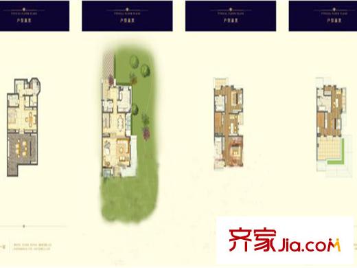 青島新世界31#-37#雙拼別墅戶型 3室2廳4衛(wèi)1廚