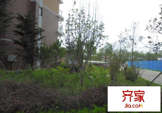 魯澤觀天下外景圖