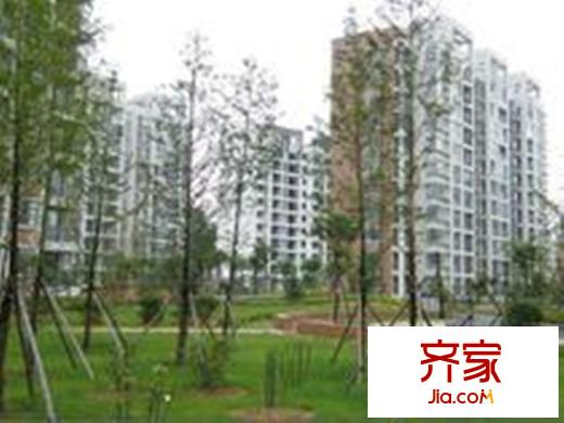 千禧銀杏苑（20120320）