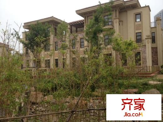 唐島金灣外景圖 