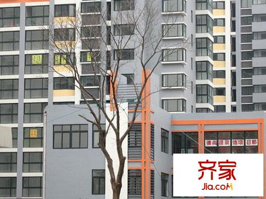 魯岳夢境江南外景圖10年3.3實拍