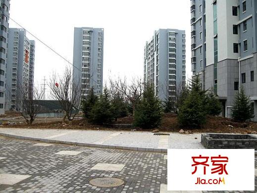 魯岳夢境江南外景圖10年3.3實拍
